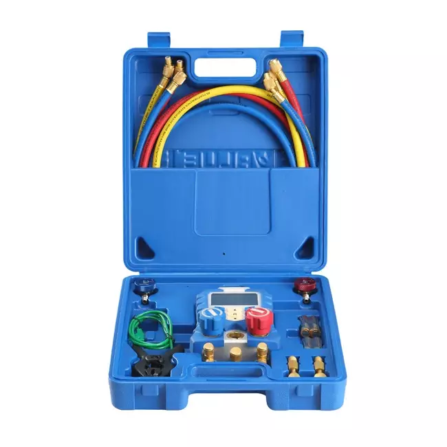 Conjunto de manifold digital de valor