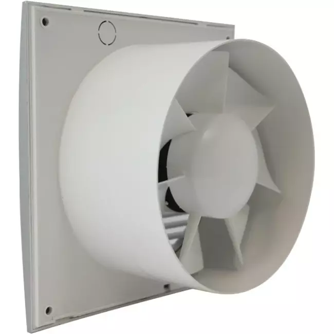 Extractor de baño Ø 100 mm plateado con temporizador - estándar EE100TS