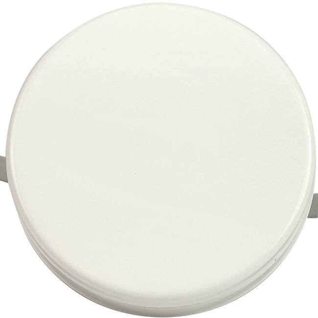 Válvula de escape de ventilación 80 mm con muelles metálicos - SAV-C80 RAL9010